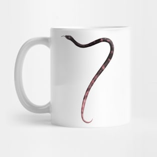 7 - Sonoran coachwhip snake Mug